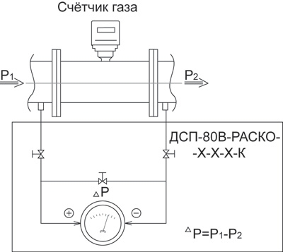 DSP80PACKO primer1